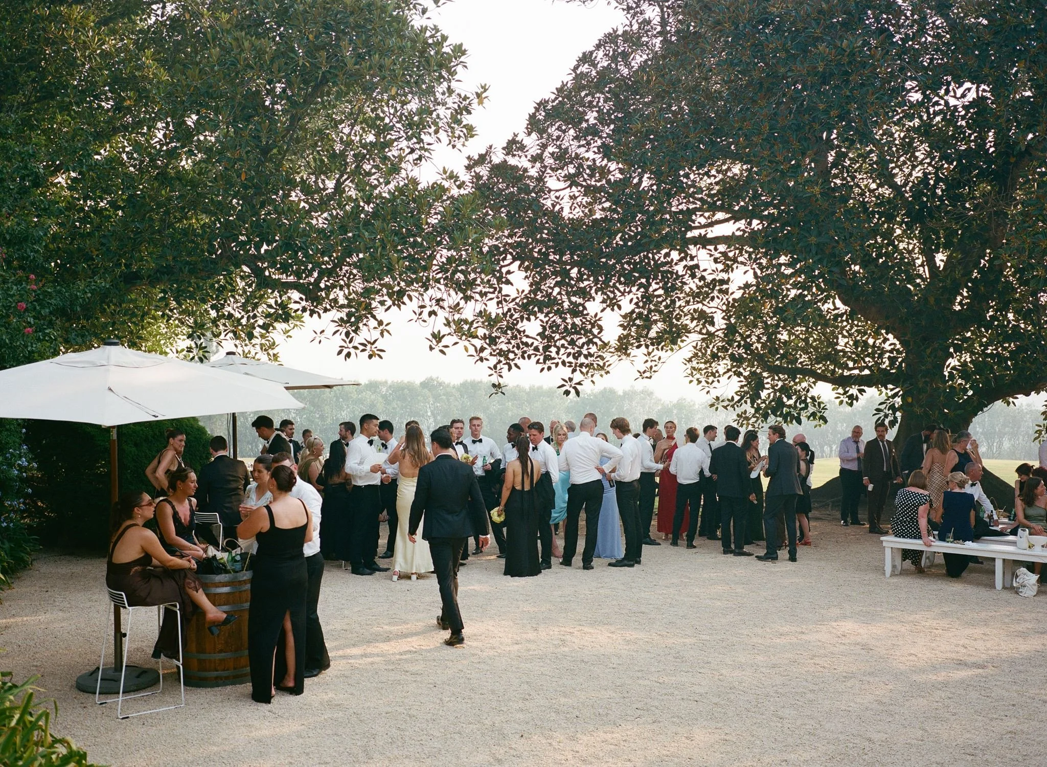 Portra-400-120-film-1.jpg