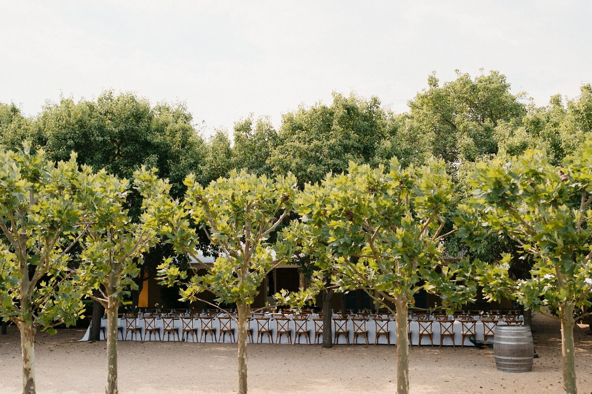 Krinklewood-estate-wedding-11.jpg