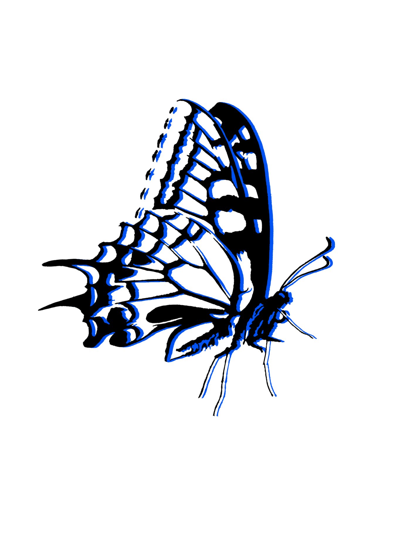 Untitled_Artwork 81.png