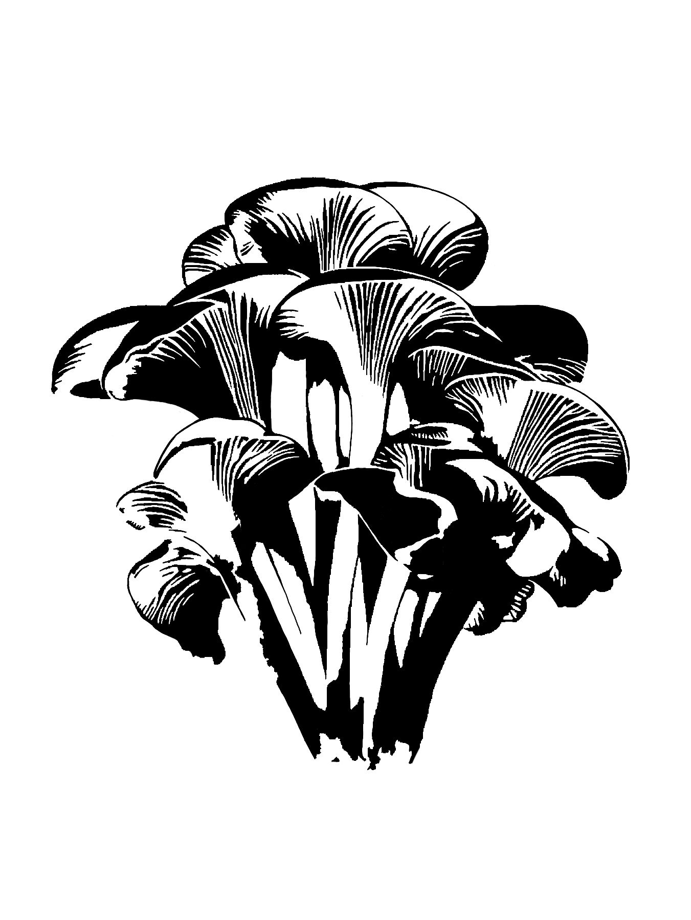 Design unavailable - contact me for a variation