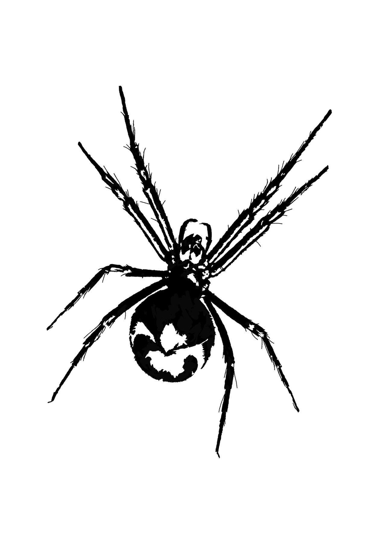 Design unavailable - contact me for a variation