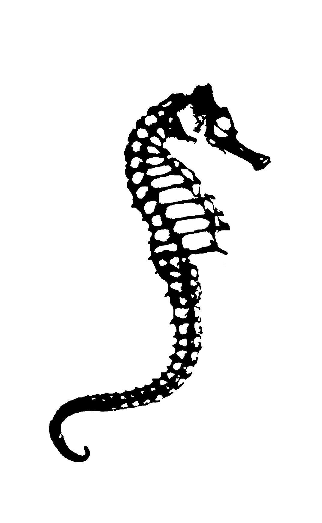 Design unavailable - contact me for a variation