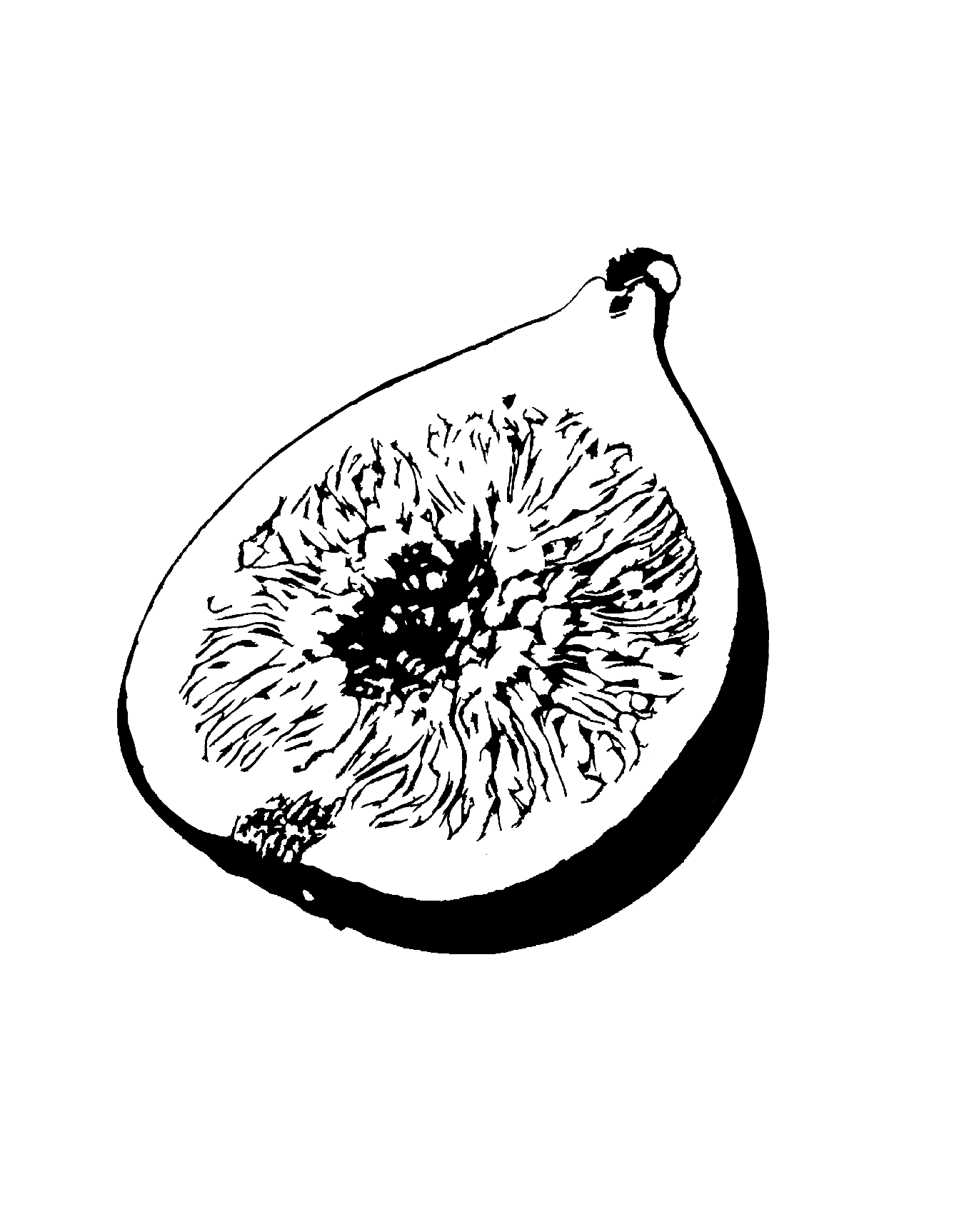 Design unavailable - contact me for a variation