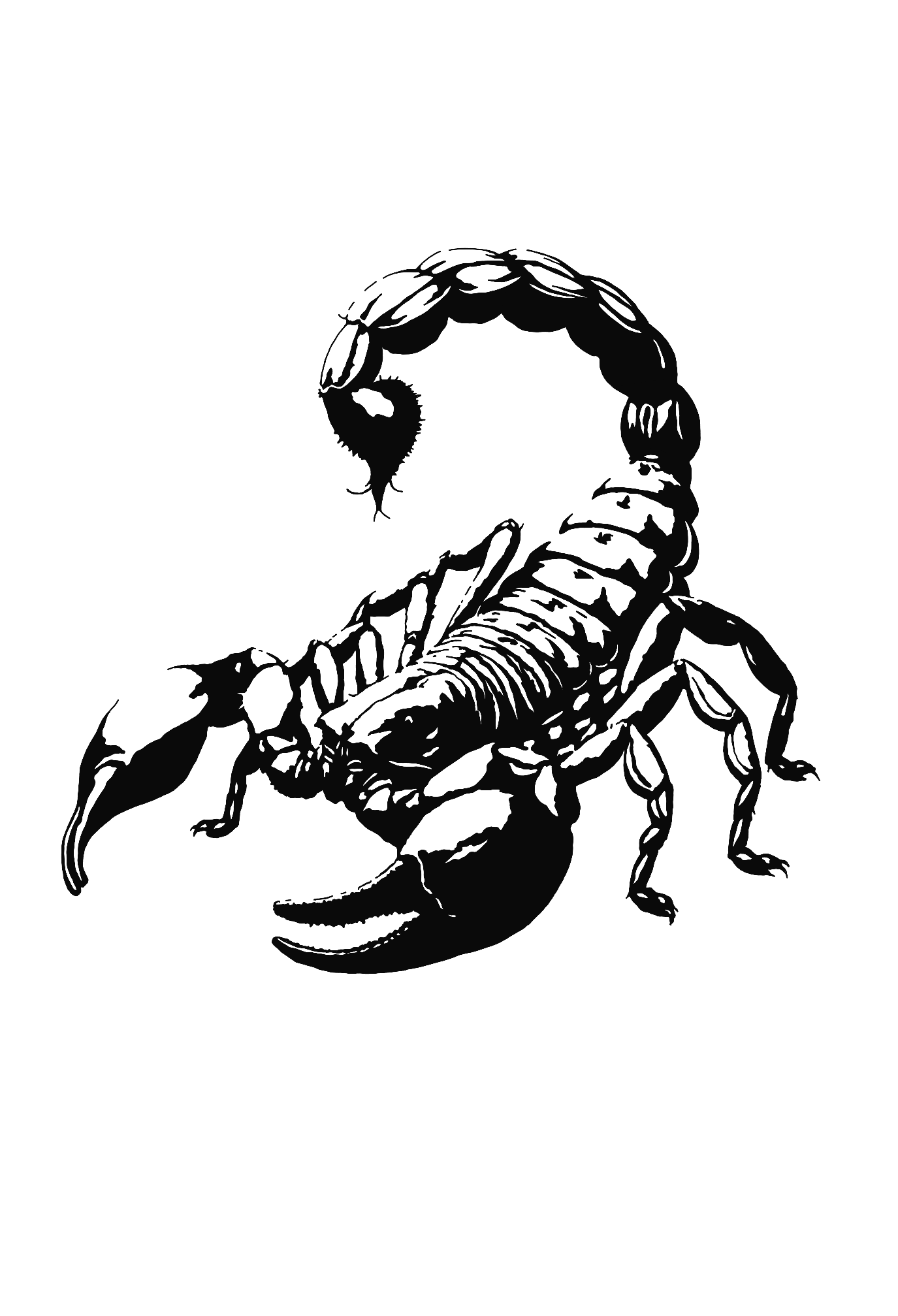 Design unavailable - contact me for a variation