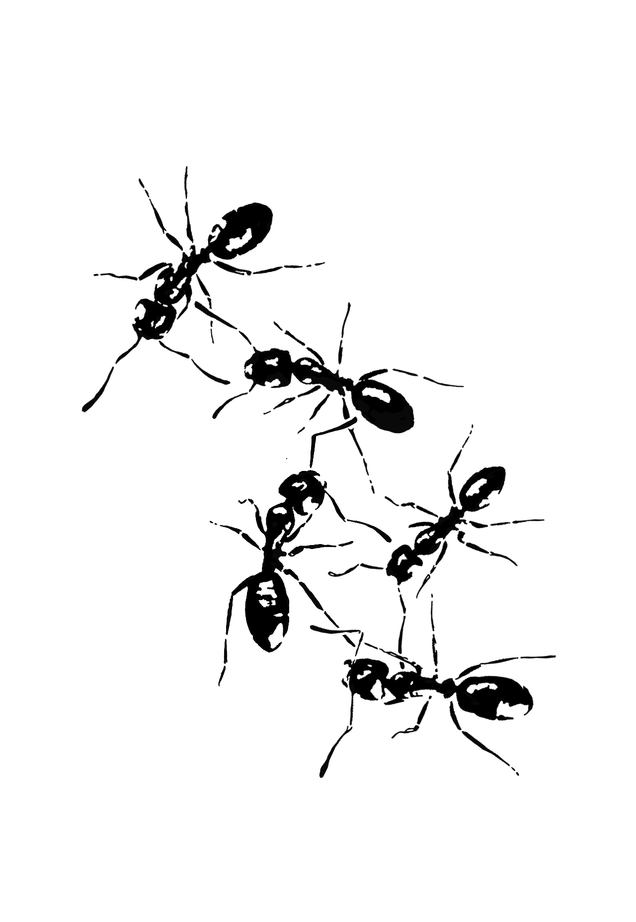 Design unavailable - contact me for a variation