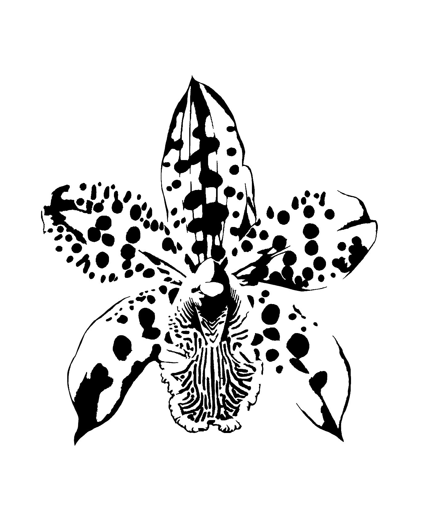 Design unavailable - contact me for a variation