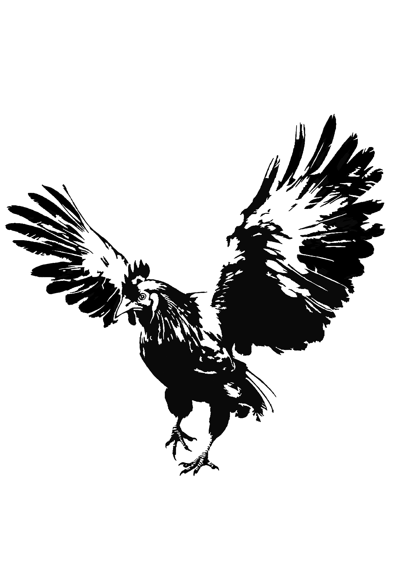 Untitled_Artwork 72.png