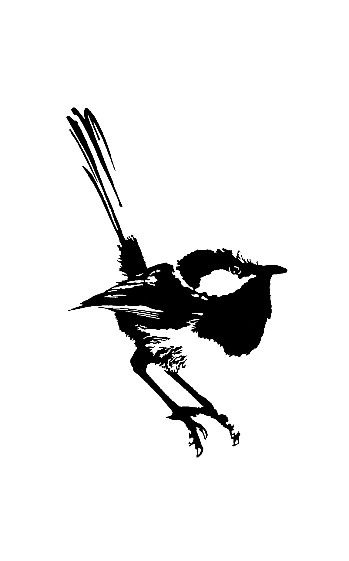 Untitled_Artwork 67.png
