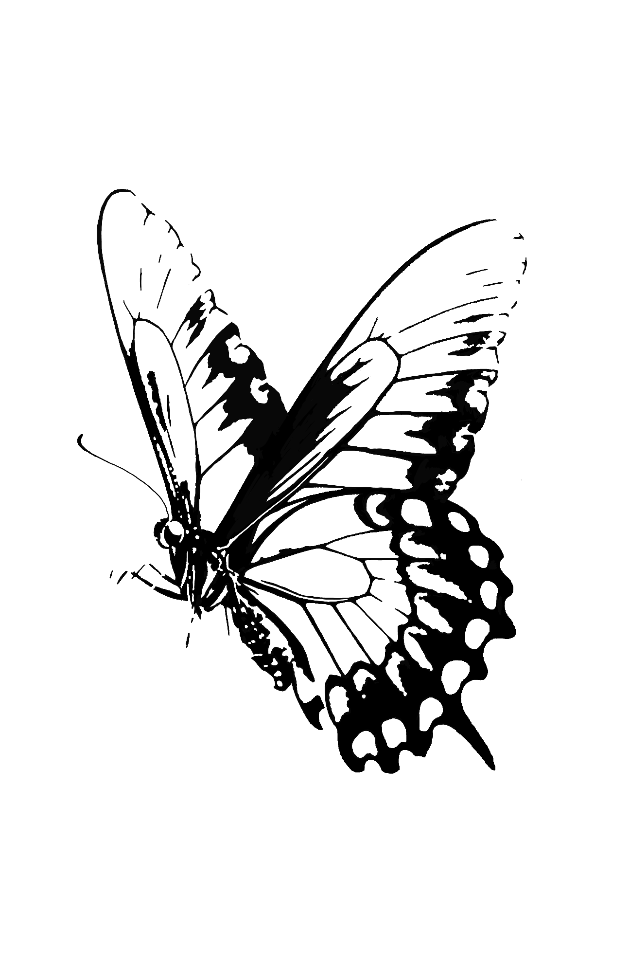 Design unavailable - contact me for a variation