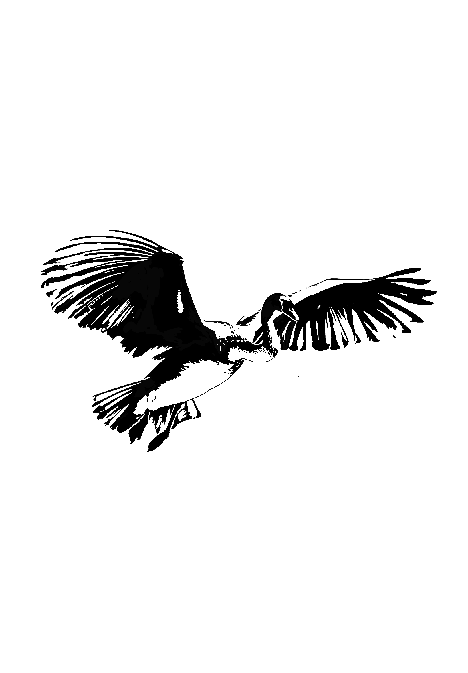 Untitled_Artwork 62.png