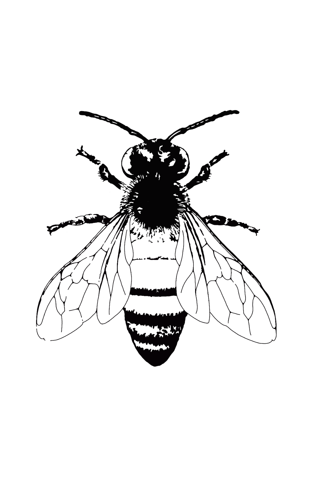 Design unavailable - contact me for a variation