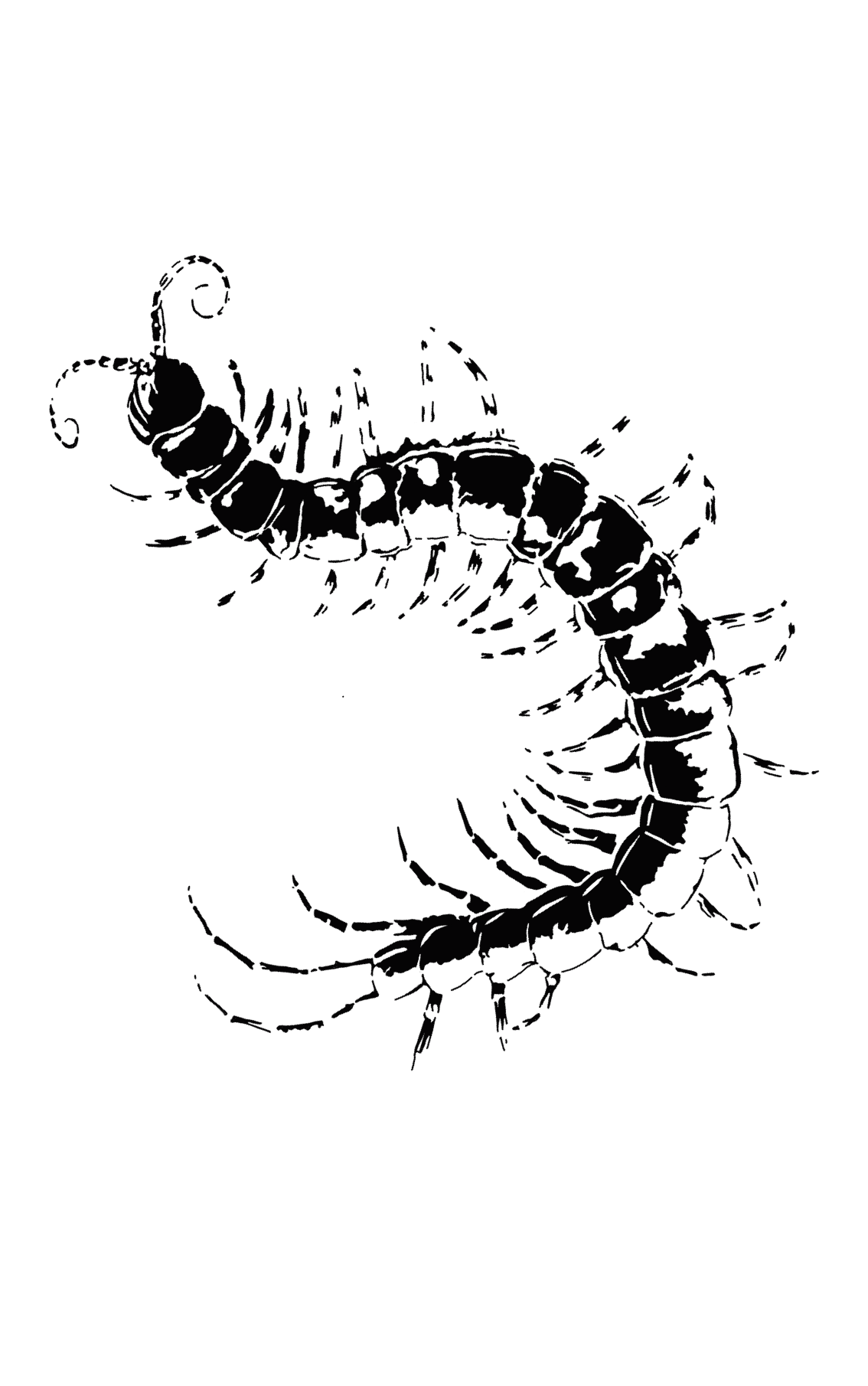 Design unavailable - contact me for a variation