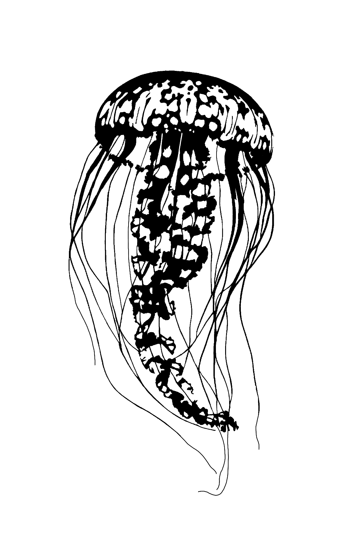 Design unavailable - contact me for a variation