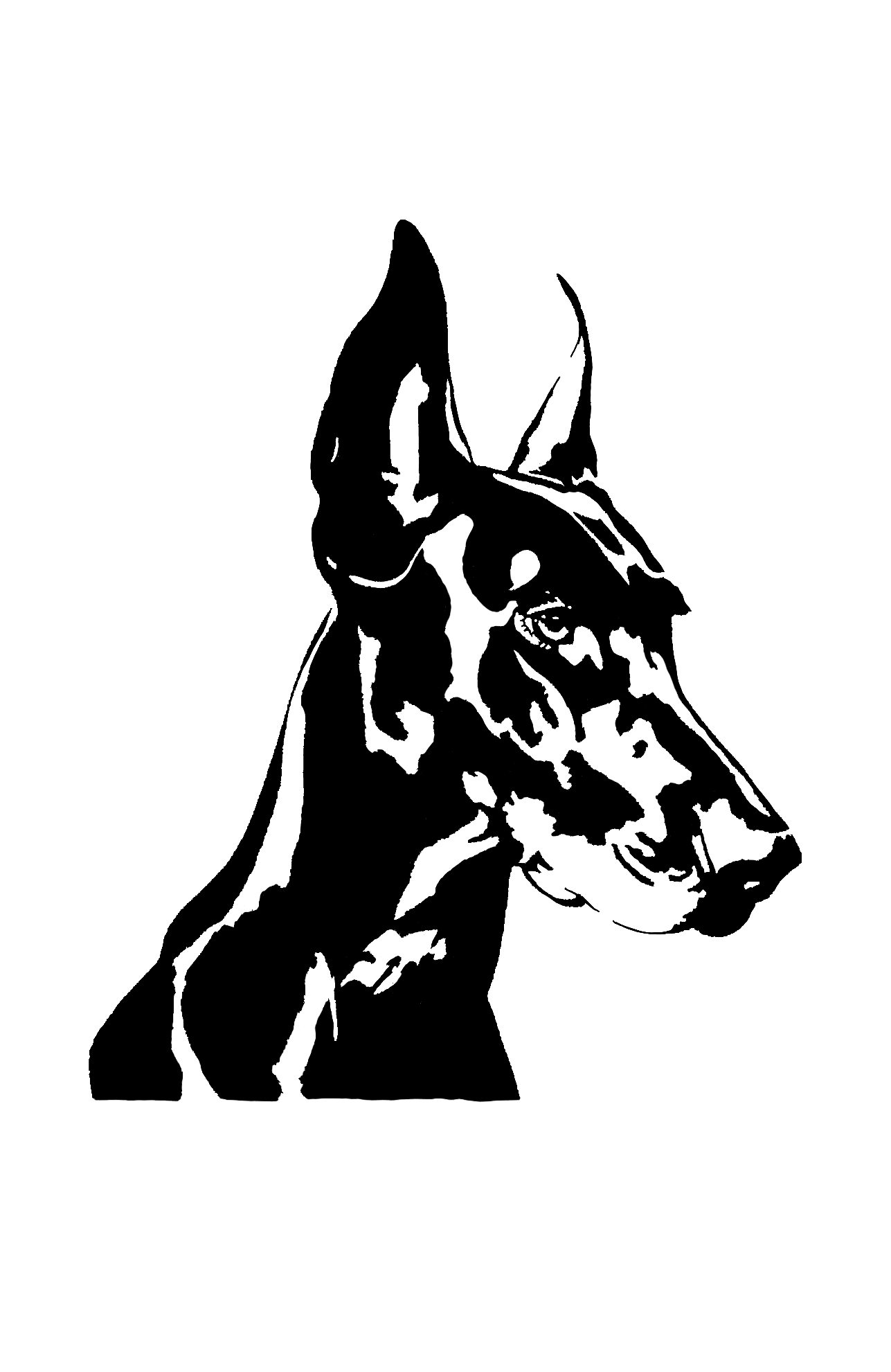 Untitled_Artwork 68.png