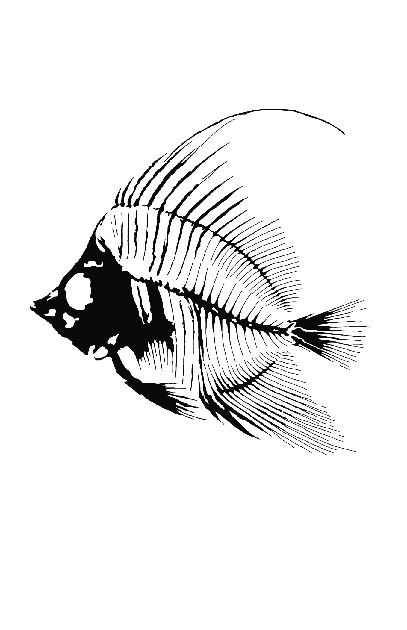 Design unavailable - contact me for a variation