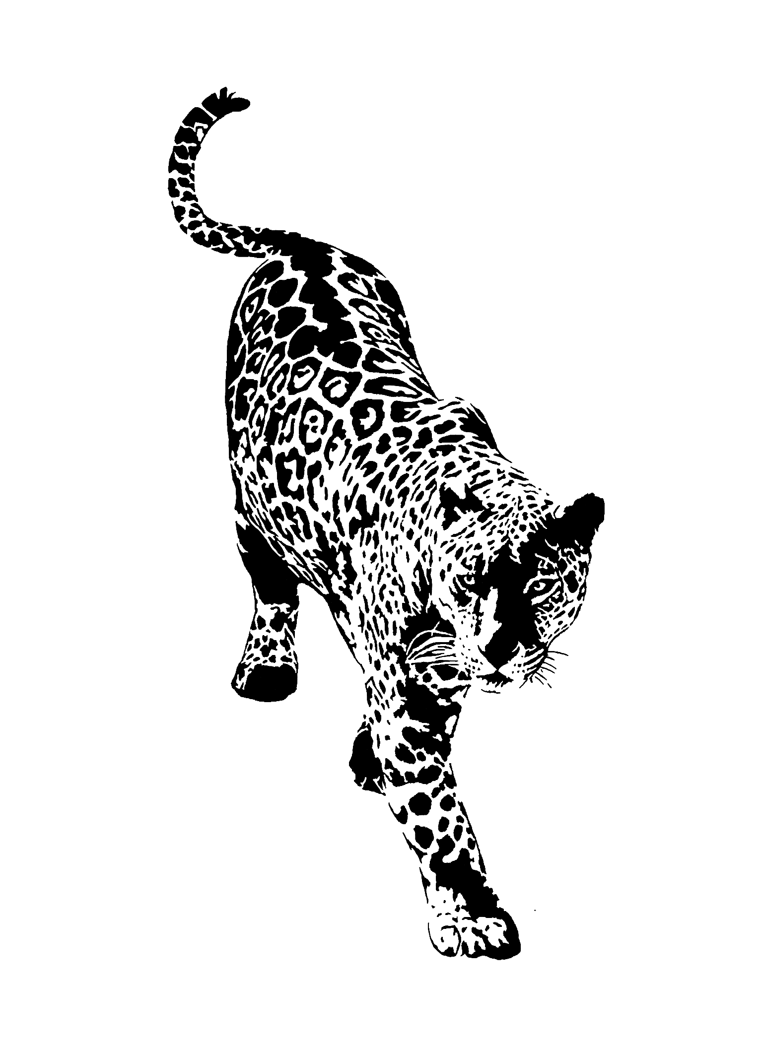 Design unavailable - contact me for a variation