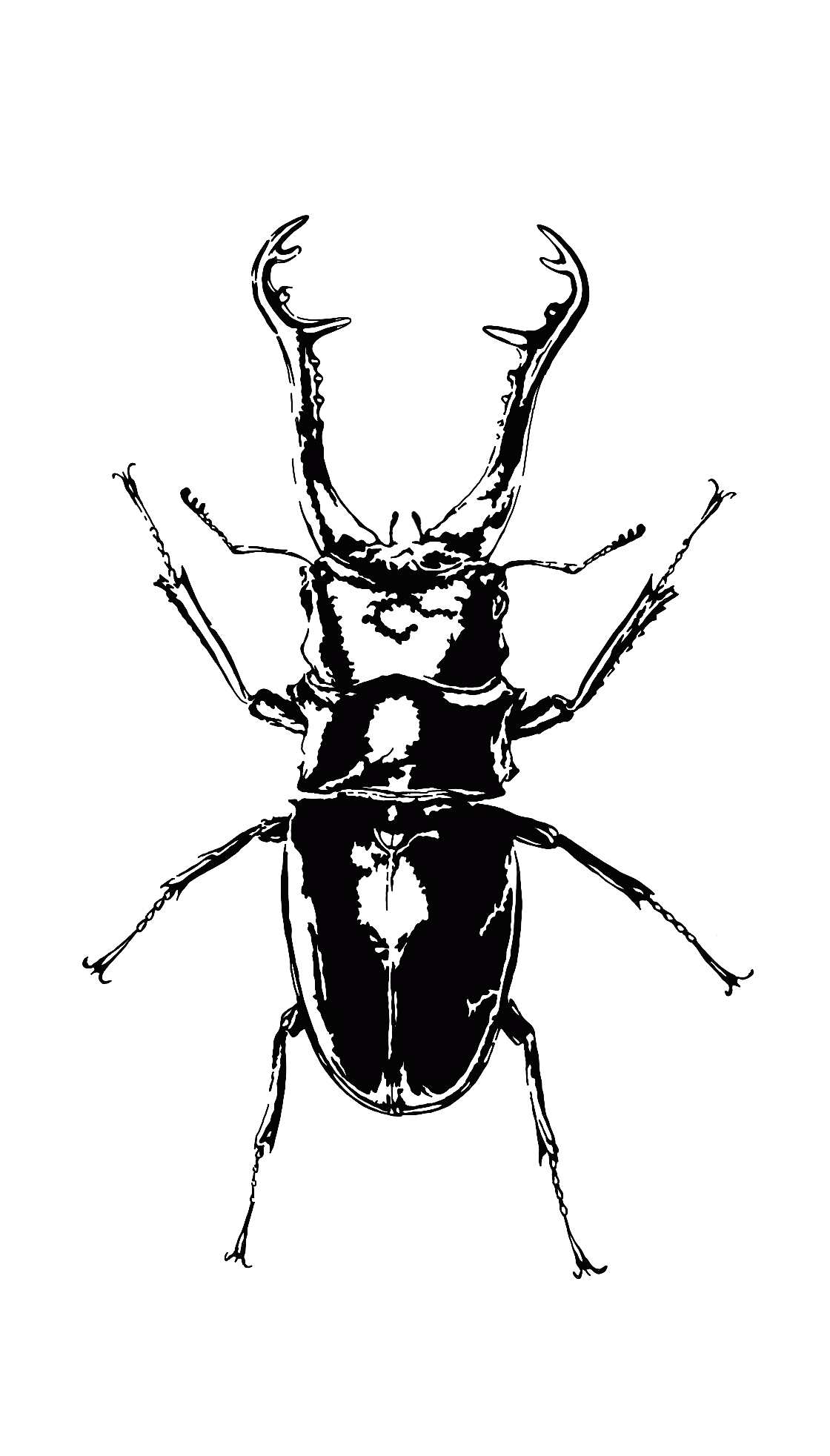 Design unavailable - contact me for a variation