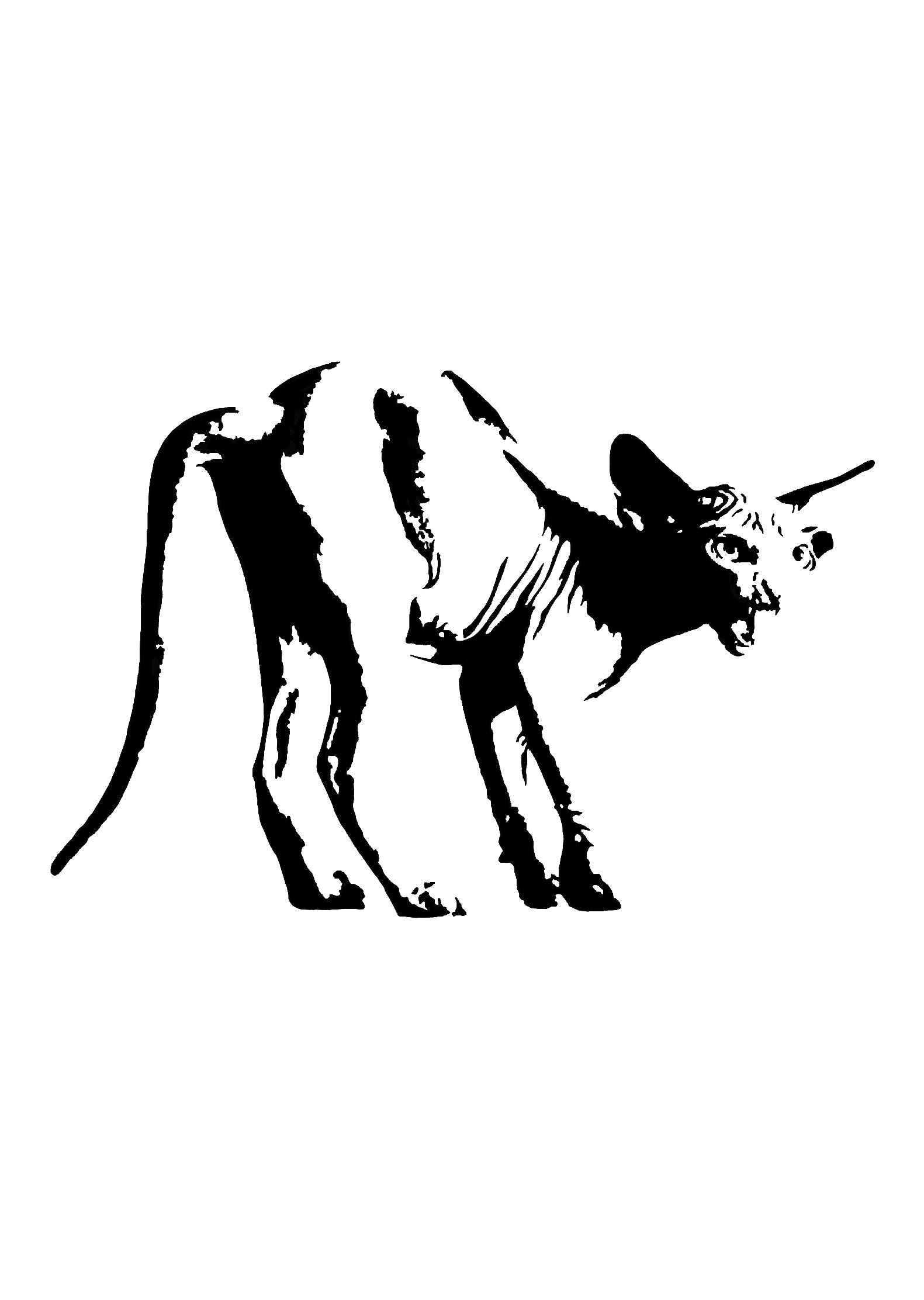 Design unavailable - contact me for a variation