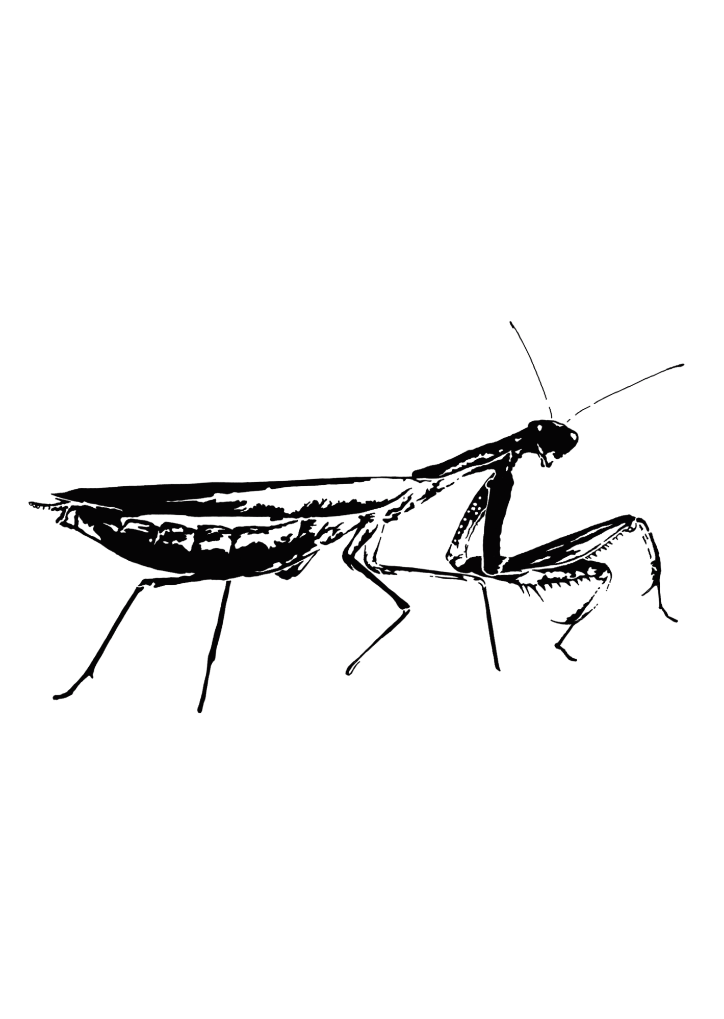 Design unavailable - contact me for a variation