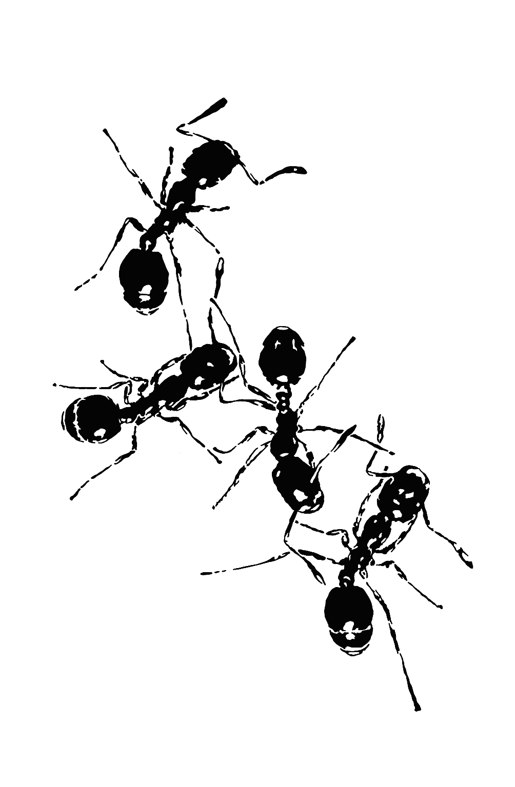 Design unavailable - contact me for a variation