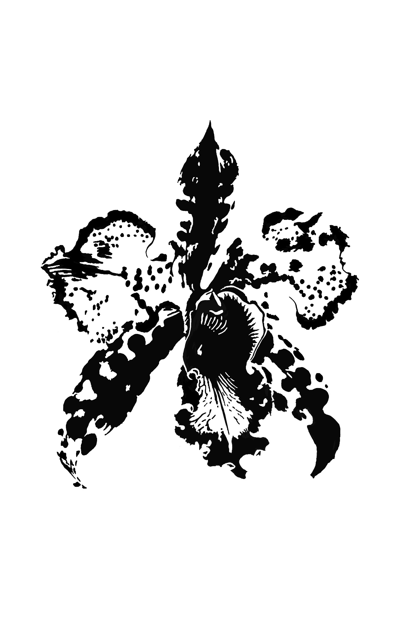 Design unavailable - contact me for a variation