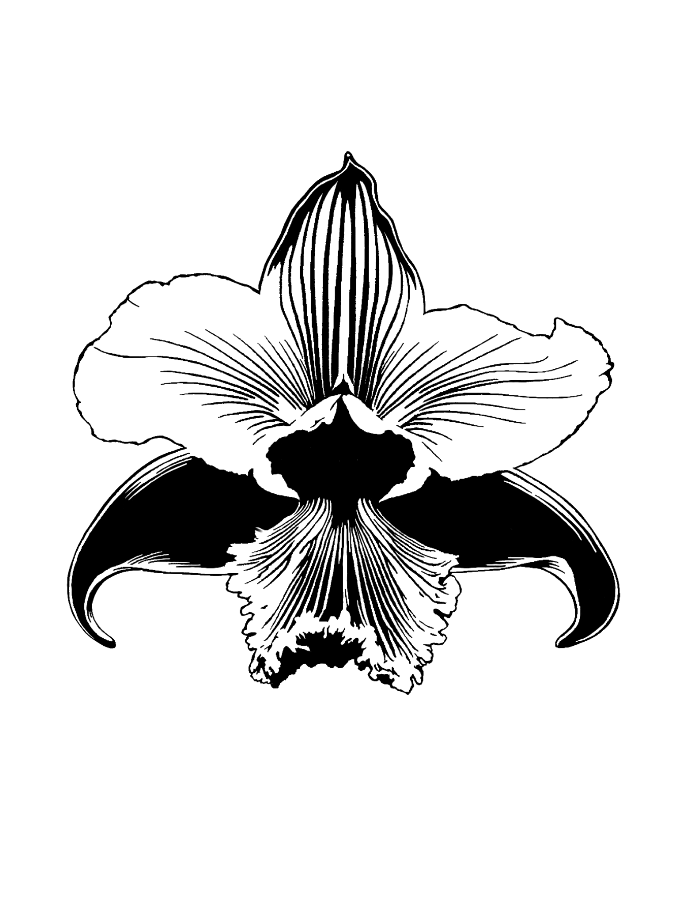 Design unavailable - contact me for a variation