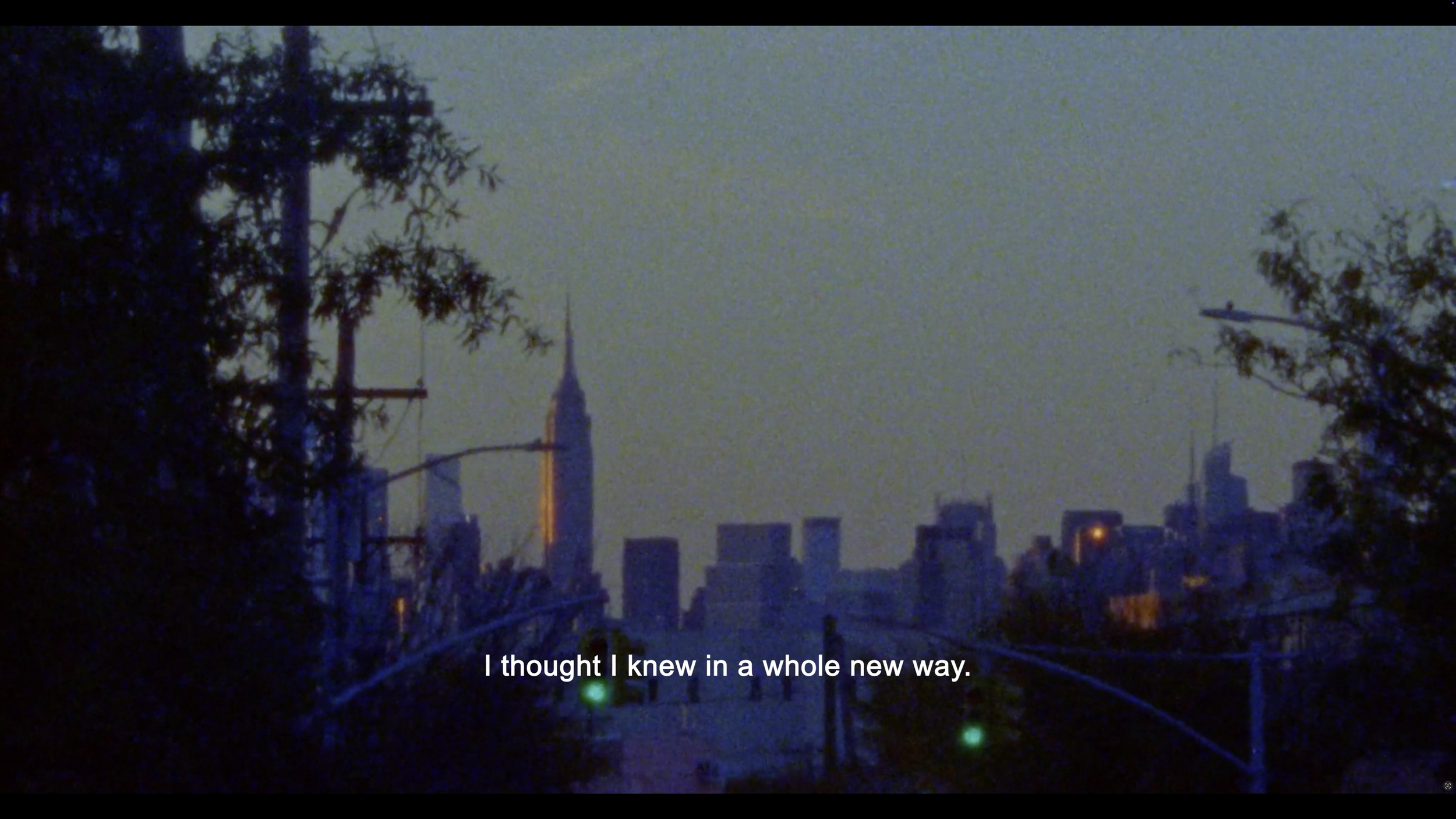 Screenshot 2025-12-19 at 4.34.01 PM.png