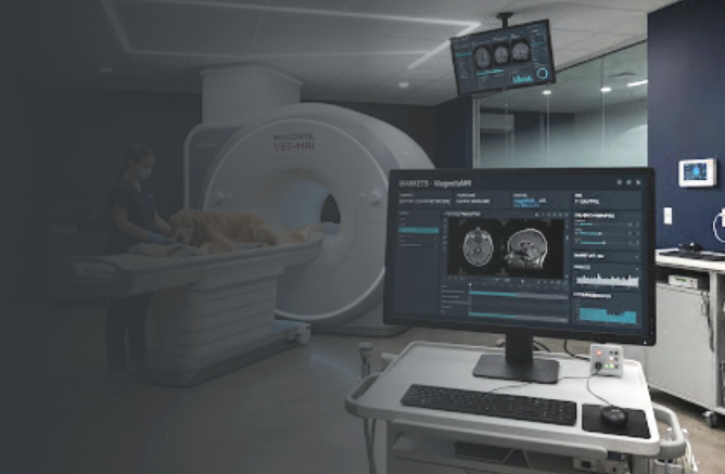 Veterinary MRI machine in a hospital room with a dog on the table and a technician nearby, computer screen displaying scan data.