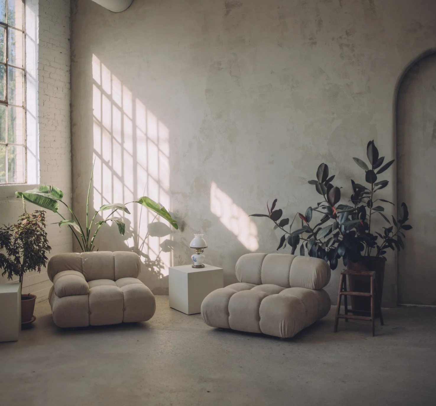 Minimalist living room with two plush beige armchairs, potted plants near a large window with sunlight casting shadows, and a small white side table with a lamp.