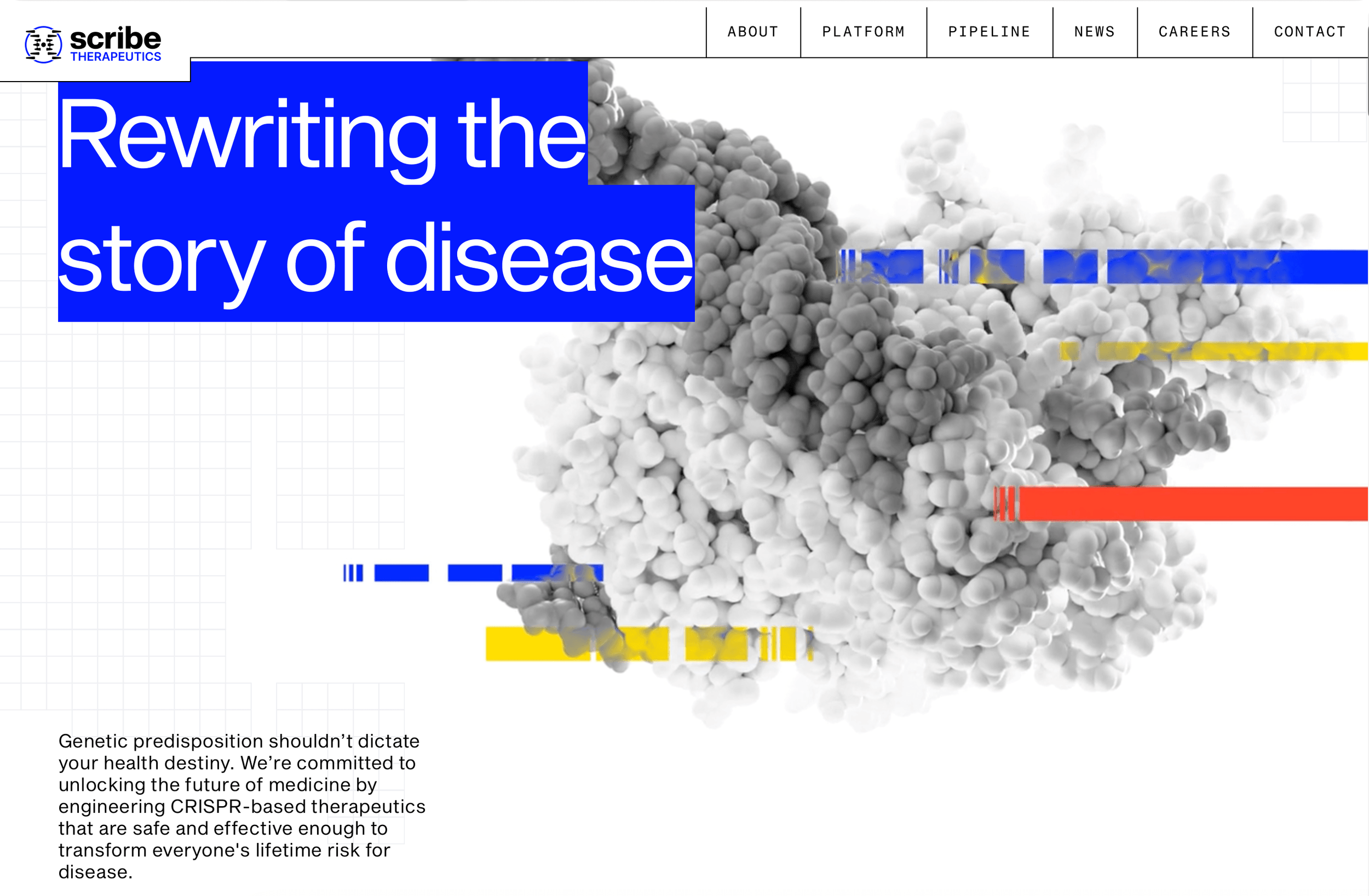 Healthcare focused website design showing services, branding, and booking functionality in a modern layout