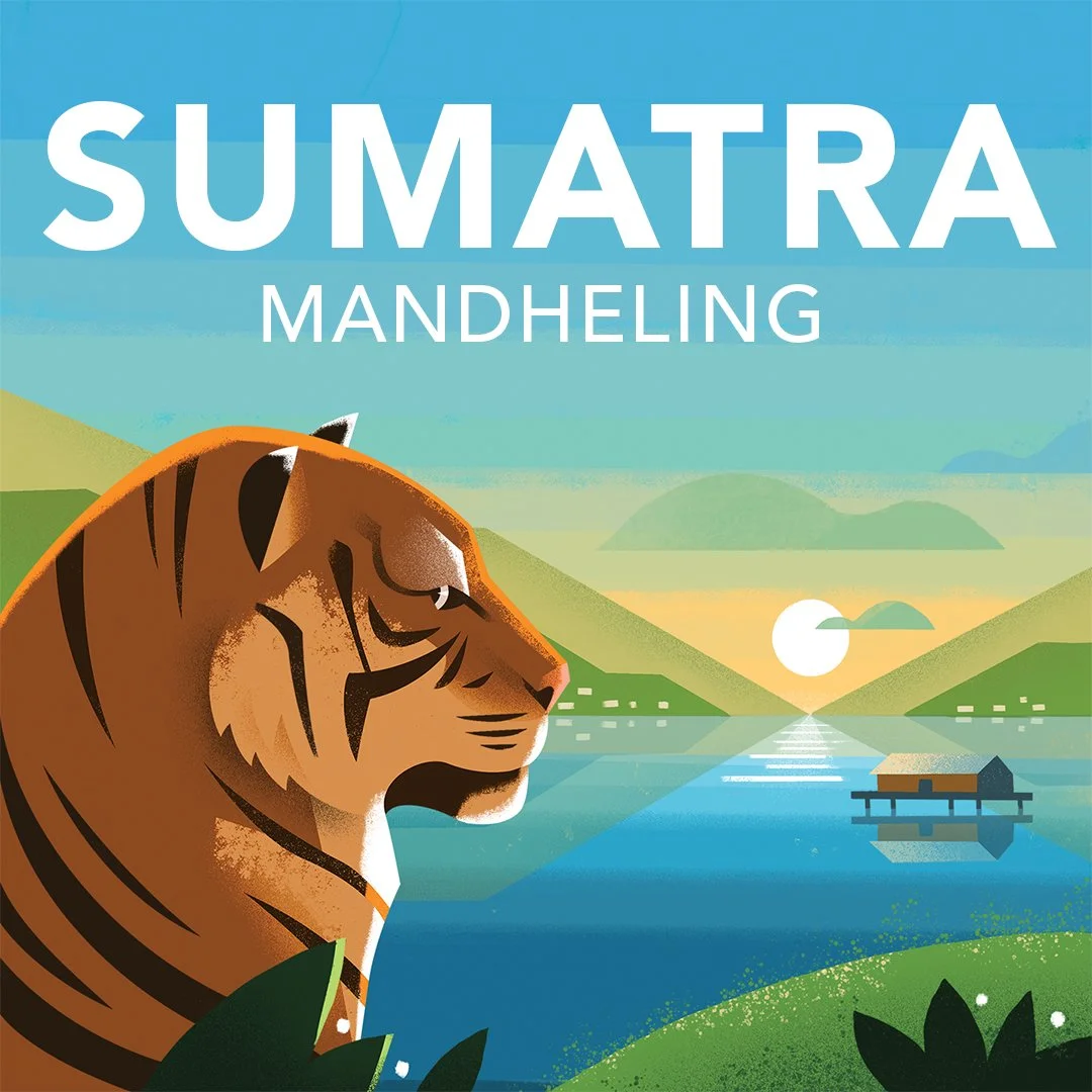 Illustration of a tiger in Sumatra