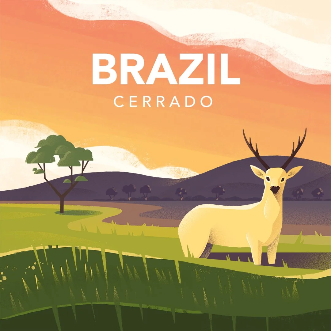 Illustration of an antelope in Brazil