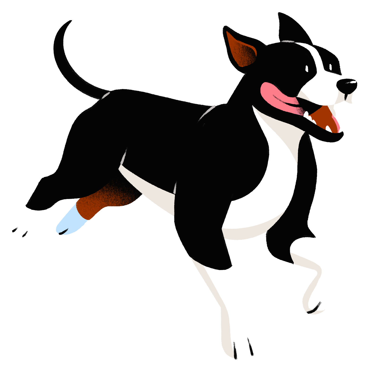 Illustration of a Pit Bull by Paul Zappia