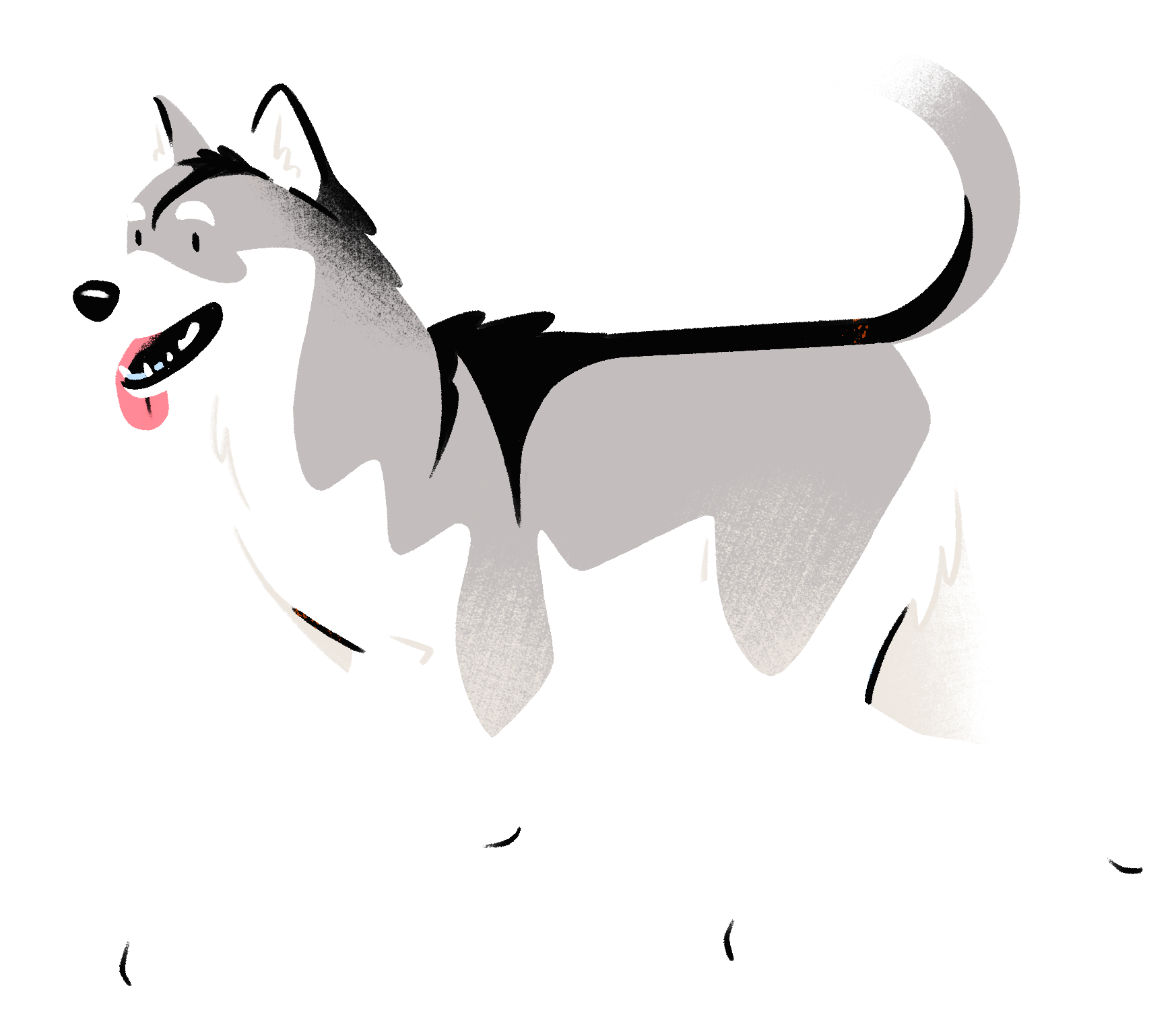 Illustration of a Siberian Husky with gray and white fur, black markings, and a happy expression, running with tongue out.