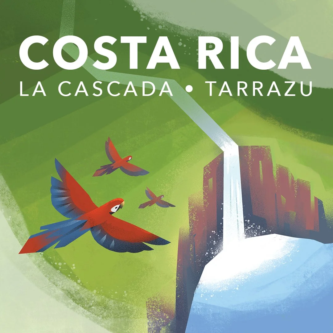 Illustration of parrots flying over Costa Rica