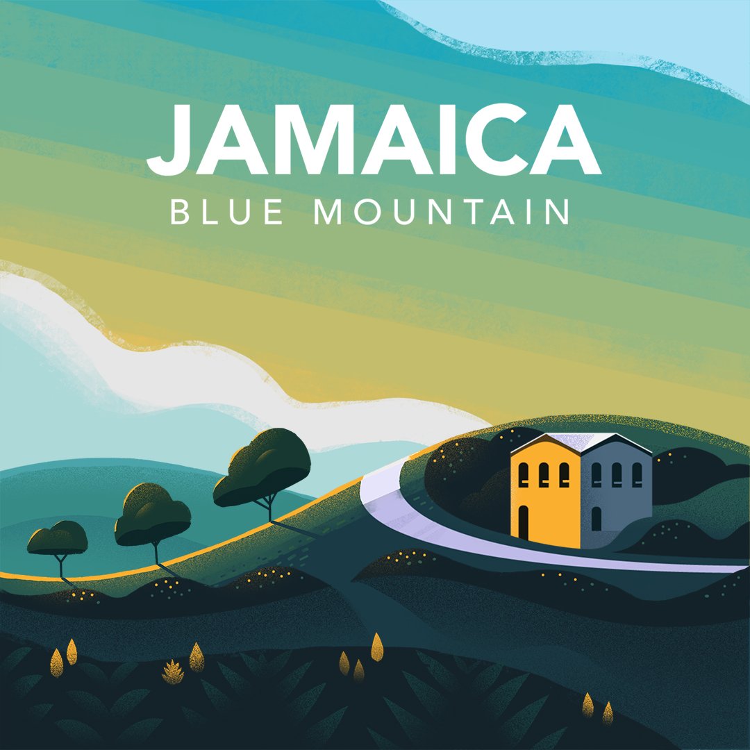 Illustration of a house on a hillside in Jamaica