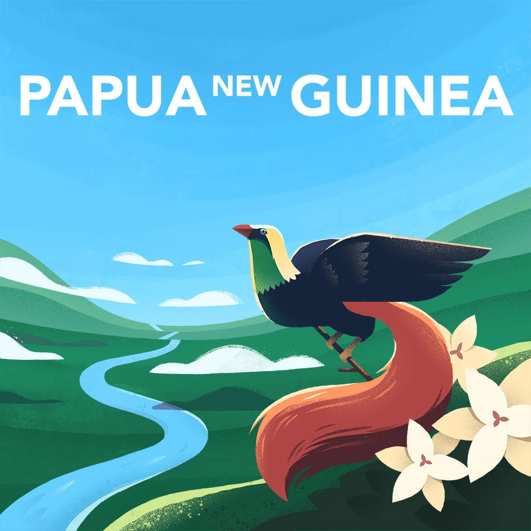 Illustration of a Bird of Paradise from Papua New Guinea