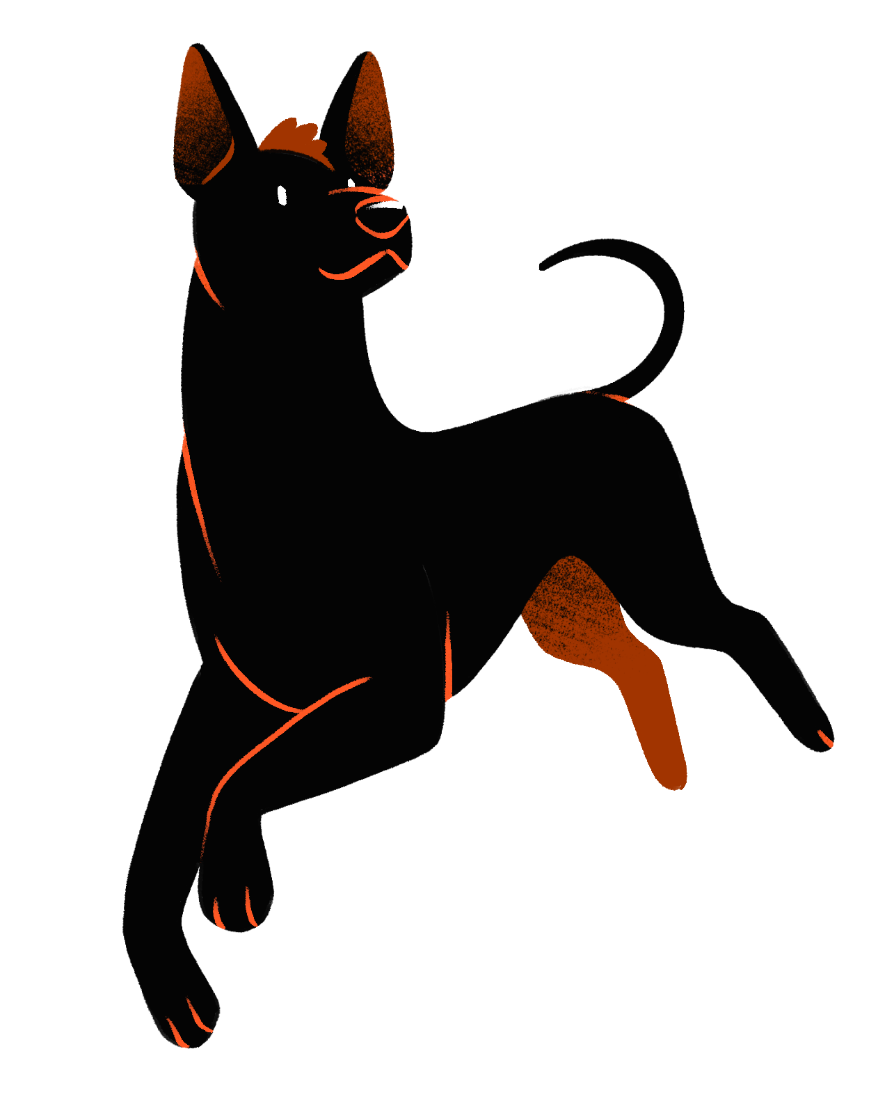 Illustration of a Mexican Hairless Dog, or Xoloitzcuintle, by Paul Zappia