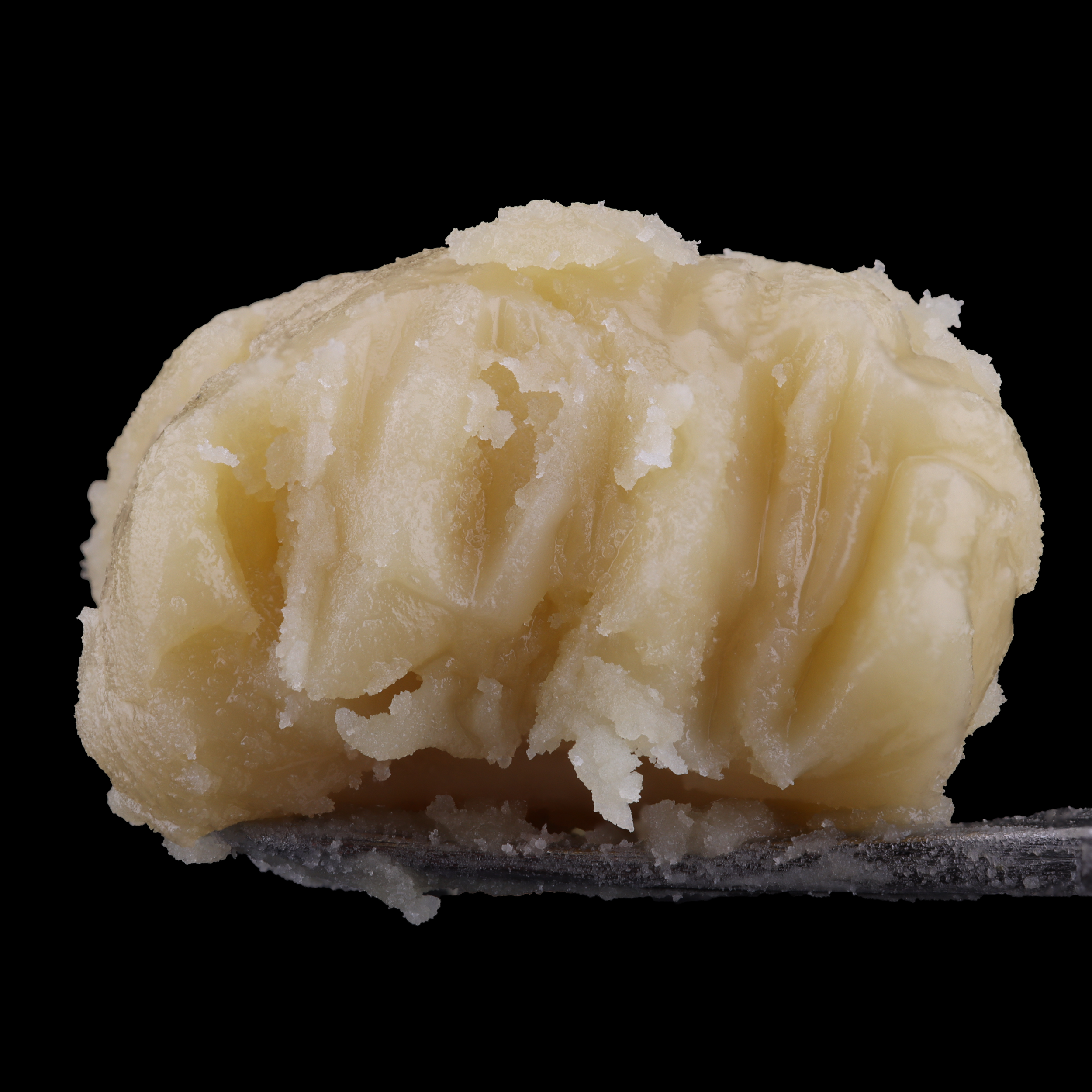 Papaya-Syrup-live-rosin-strain-by-ONYX-dab-1