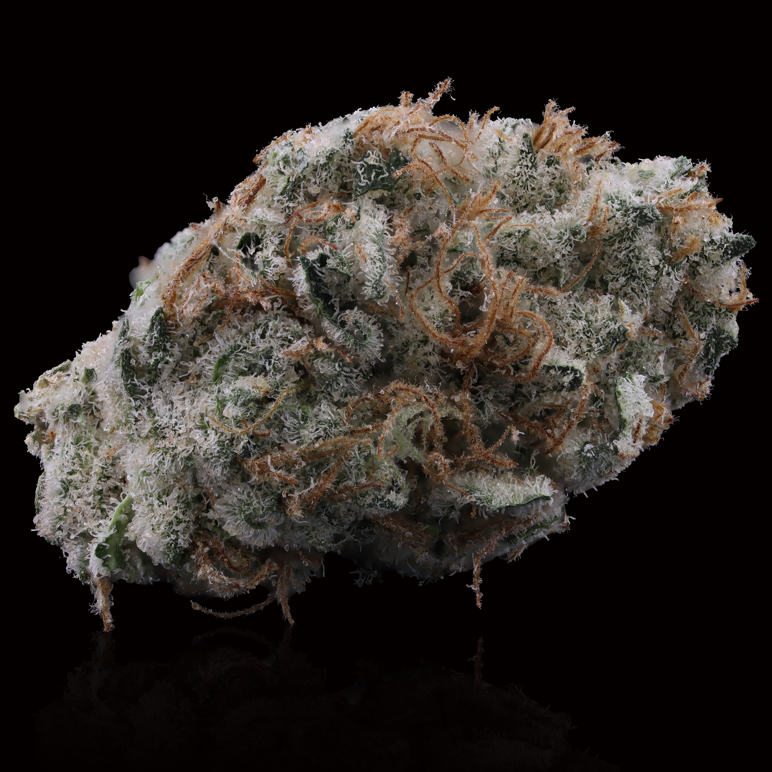 Grapefruit-gelato-by-district-cannabis-reflection
