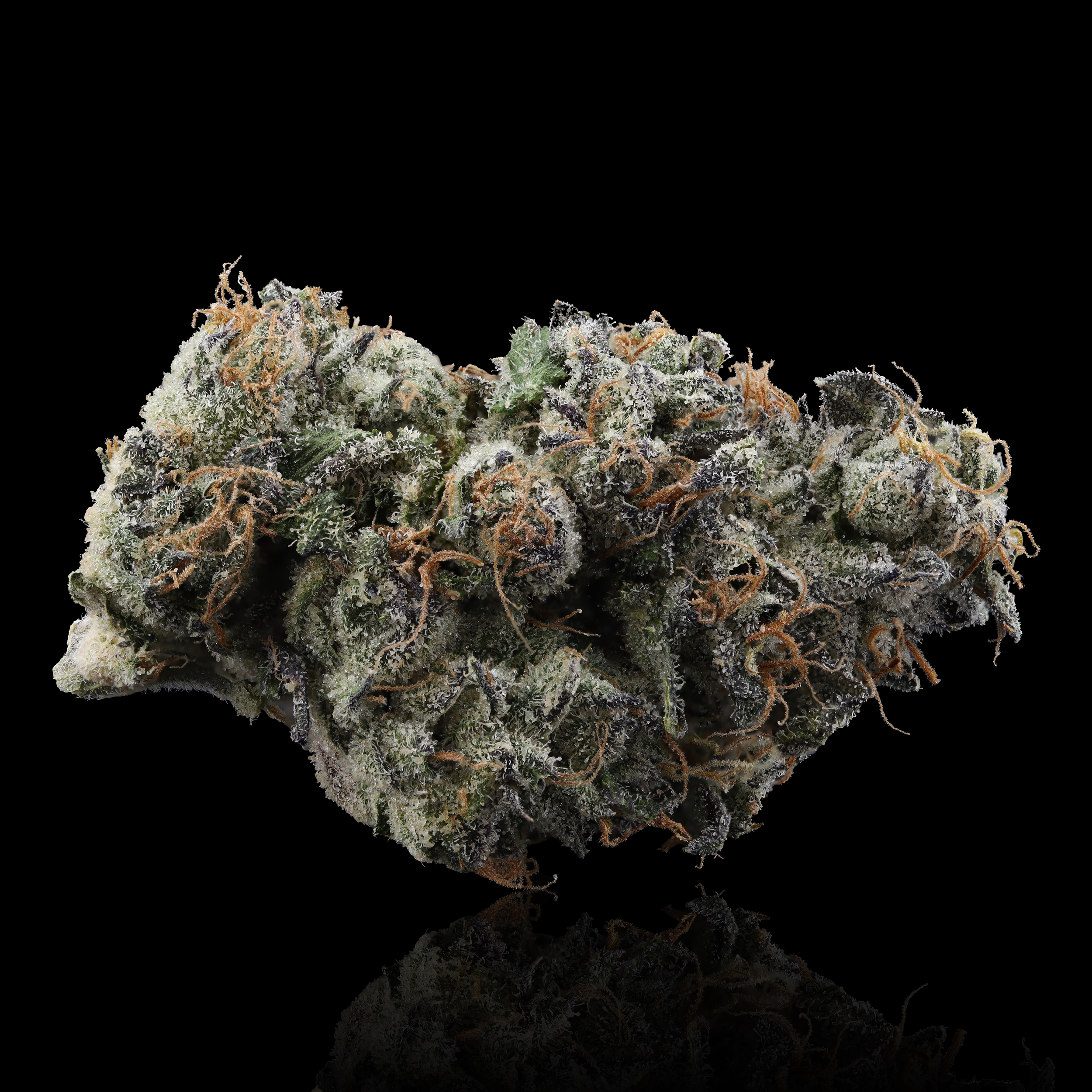 Kandy Strain Information - Washington DC Dispensary Review - YANA Wellness Dispensary 