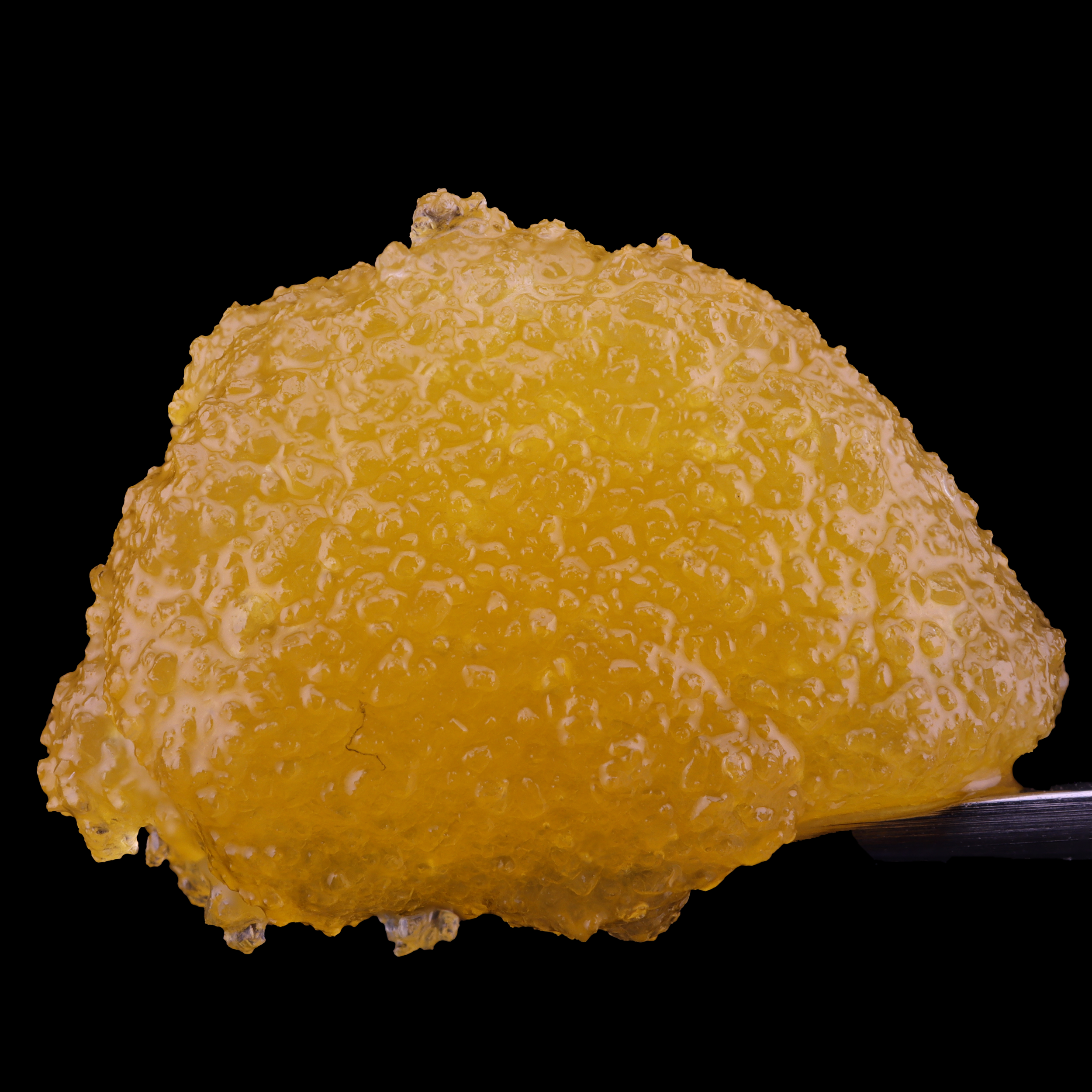 Hash Burger #7 Strain Information - MD Dispensary Review - Rise Dispensary, Hagerstown