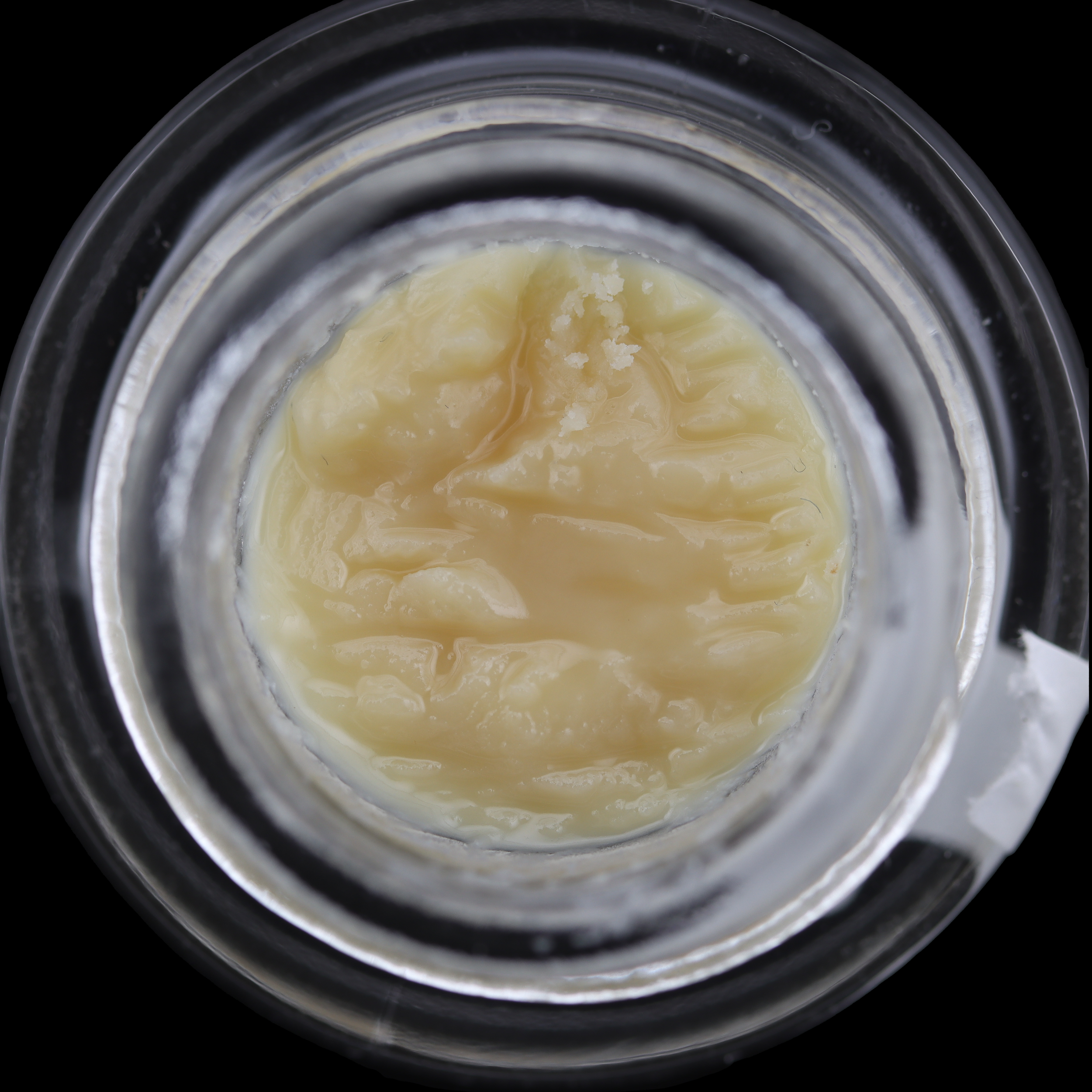 Black Maple Strain Information - FL Dispensary Review - Sanctuary Medicinals Dispensary 