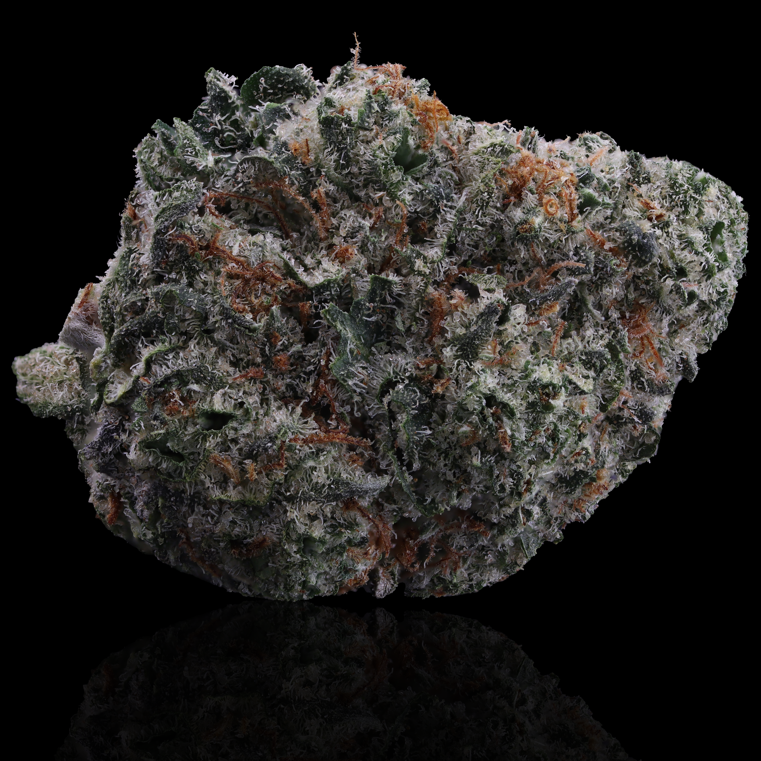 Cereal Milk (CA Cut) Strain Information - MD Dispensary Review - Rise Dispensary, Silver Spring