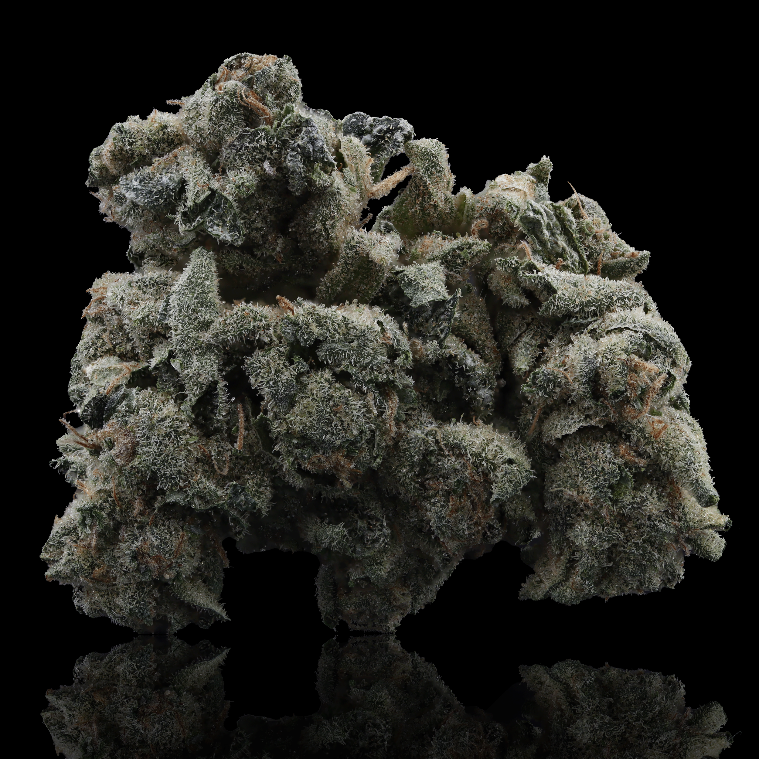 Blvck Gelatti Strain Review - MD Dispensary - Remedy Dispensary, Columbia