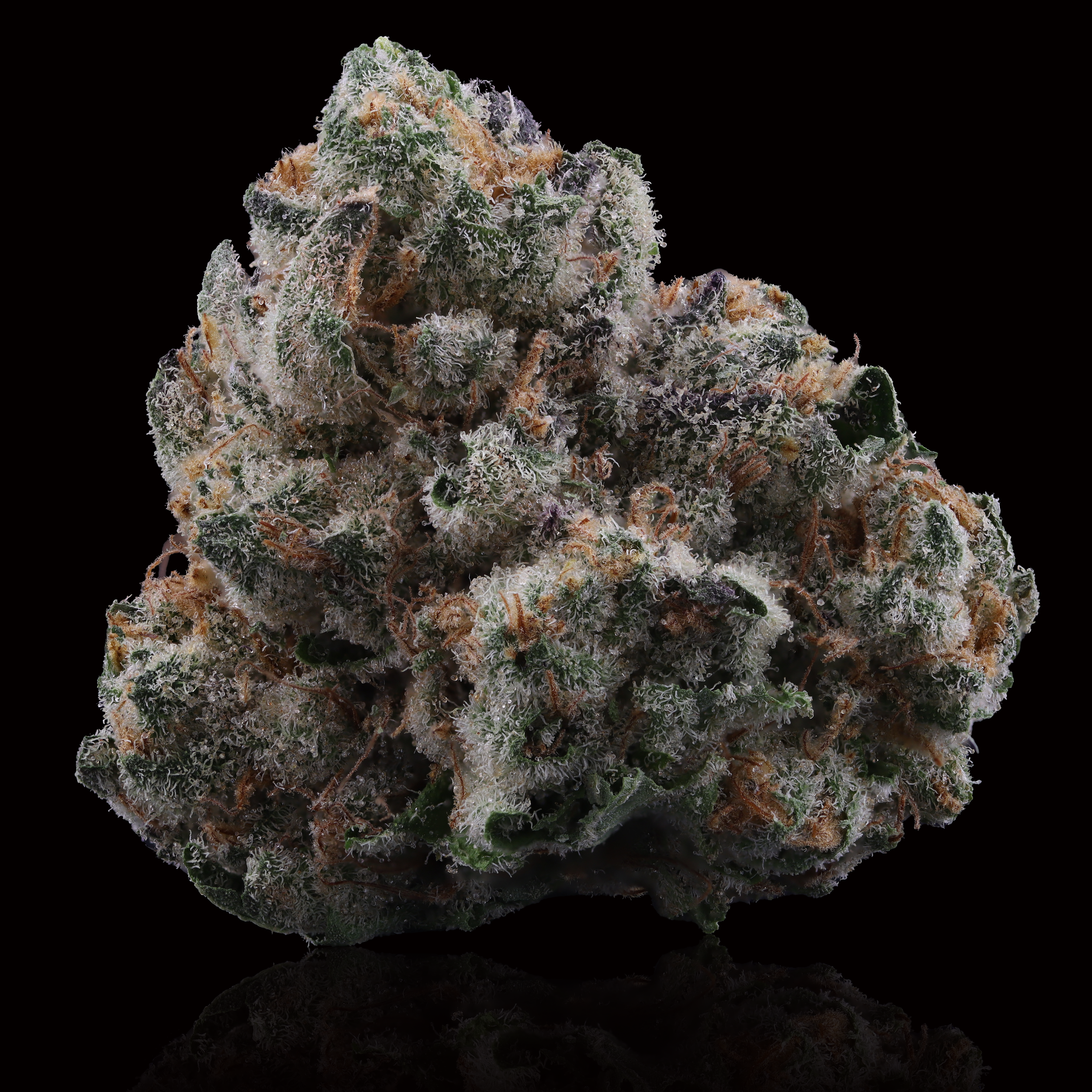 Tropicana Banana Strain Review - MD Dispensary - Curaleaf, Columbia