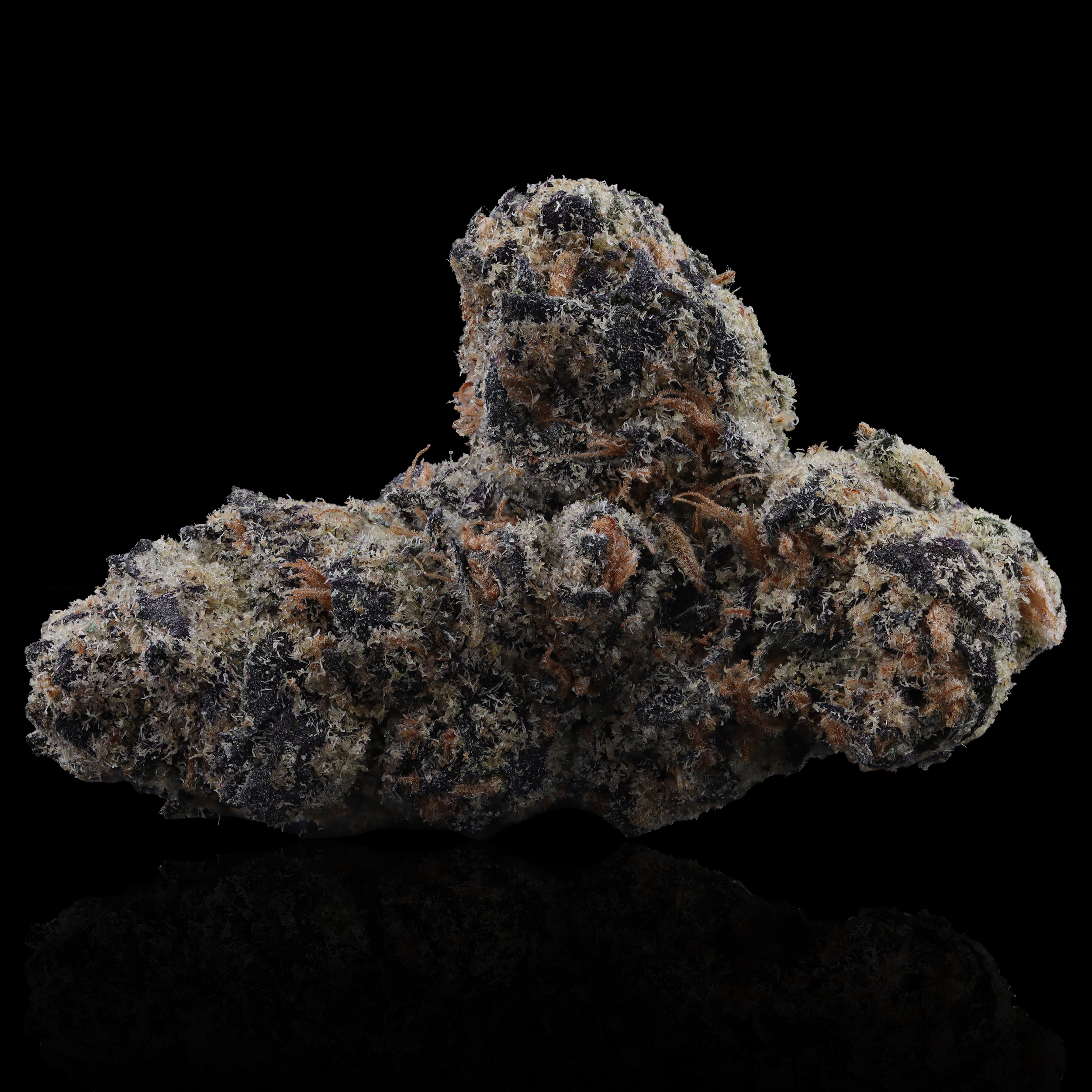 Blueberry Muffin Strain Information - Doobie Labs - Kaya Bliss Dispensary