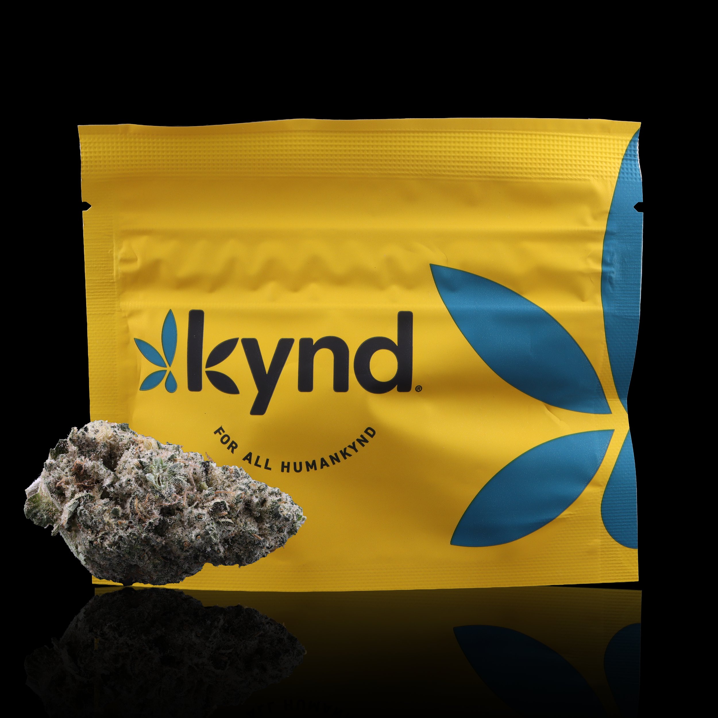 Chem Rider Strain Information - Kynd - AYR Dispensary