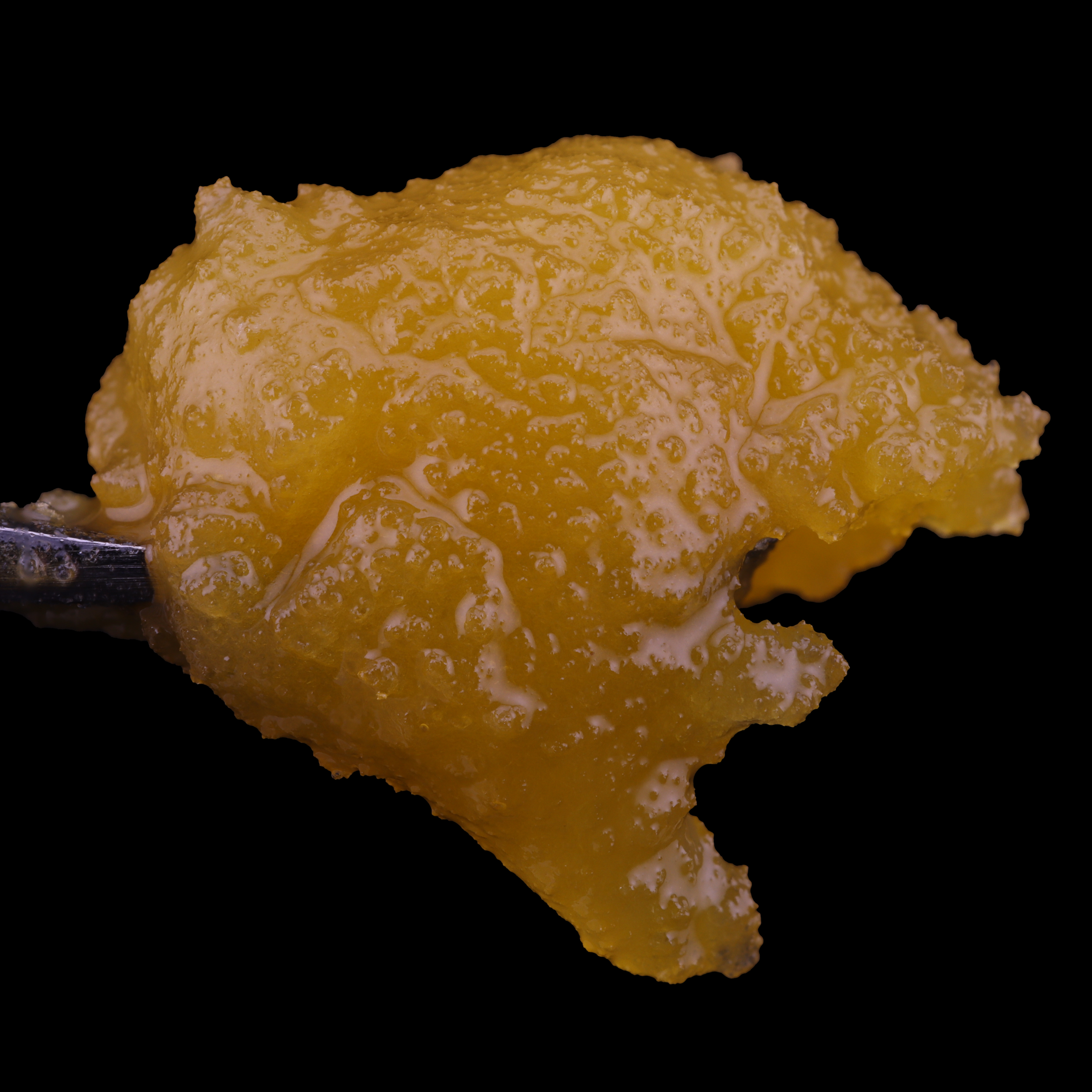 Blueberry Crumb Cake Strain Review - Evermore - The Living Room