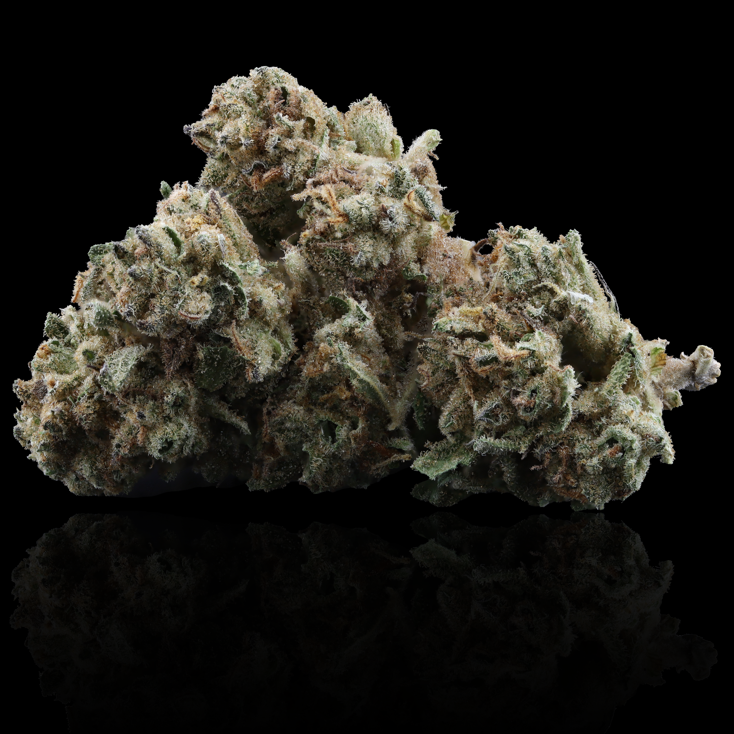 Moroccan Peaches Strain Information - Aster - AltoCanna